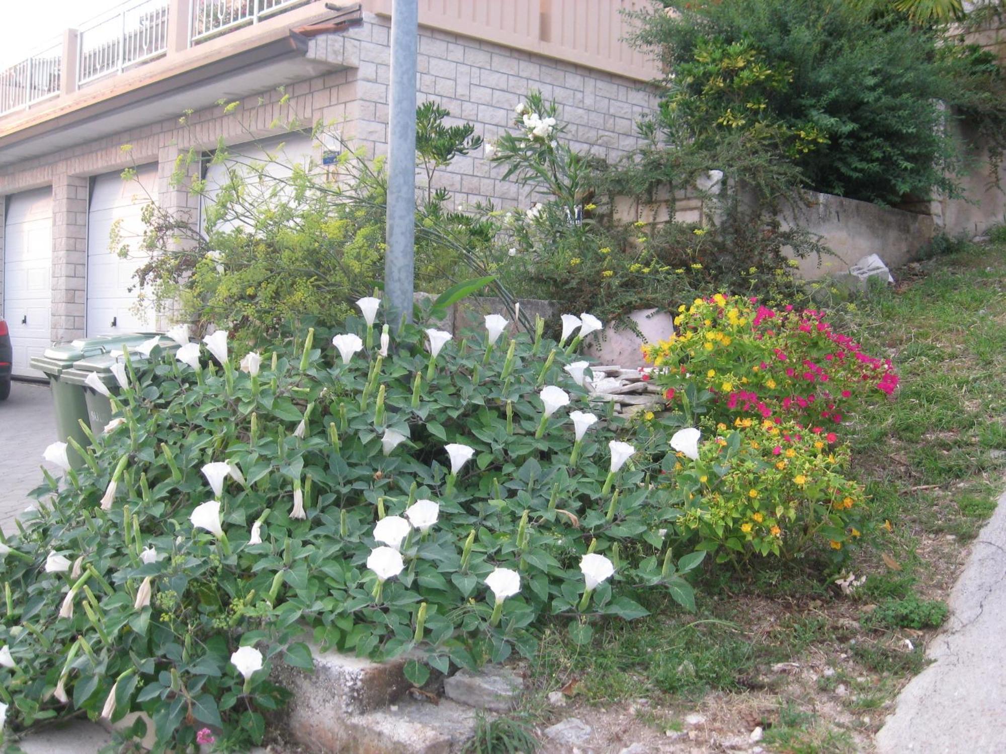 Apartments Silmare 라벡 객실 사진